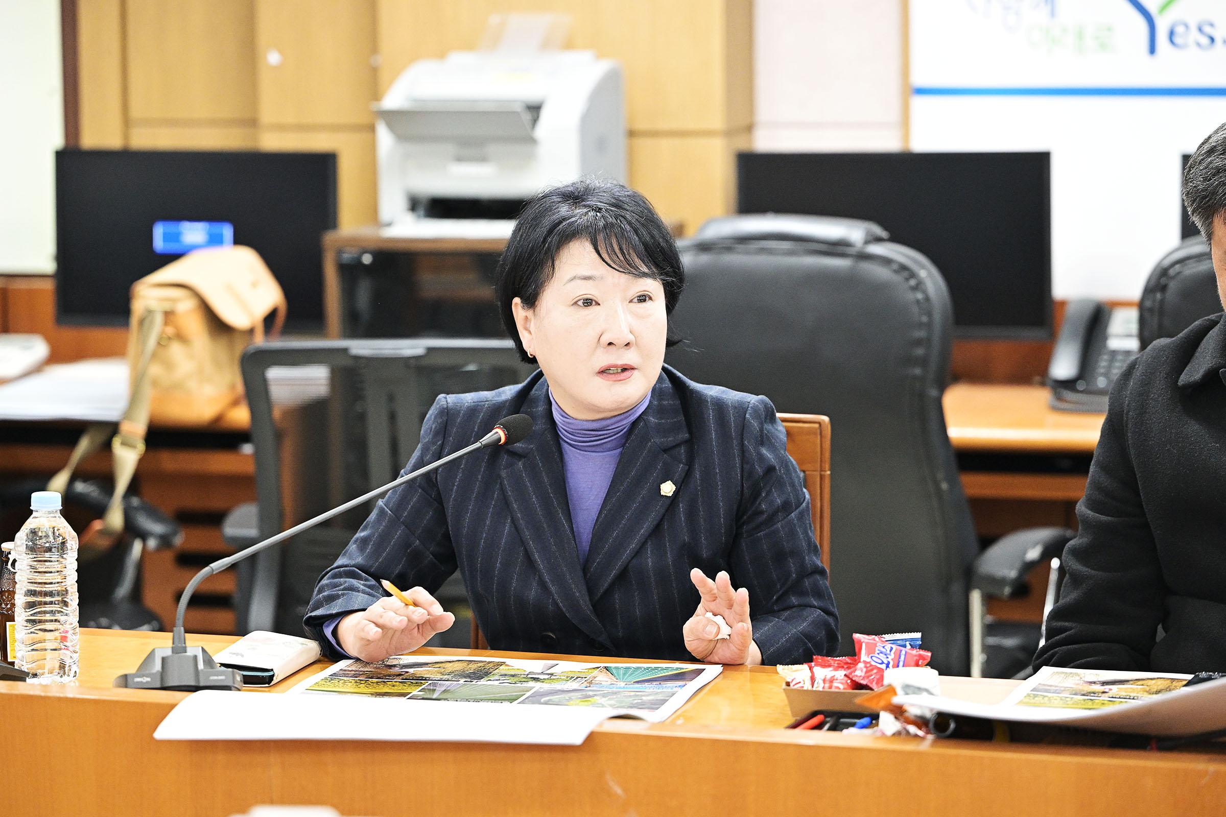 한탕강 주상절리길 테마형 거점조성 기본 및 실시설계용역 중간보고회