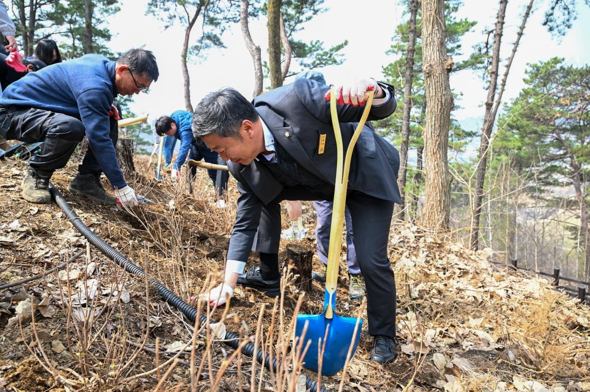 제81회 식목일 기념 나무심기행사